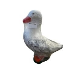 Pato nuevo mediano