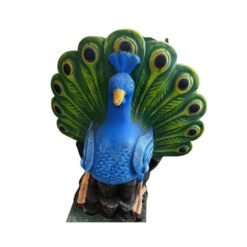 Pavo real