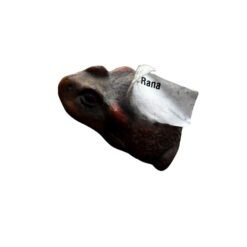 Rana chica CERÁMICA