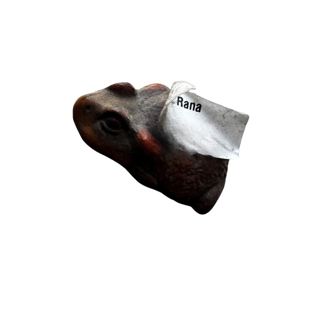 Rana chica CERÁMICA