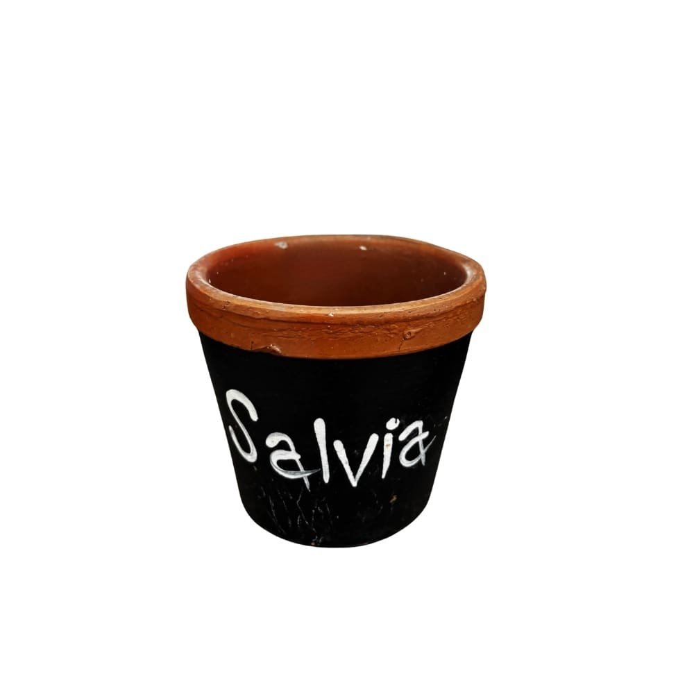 Maceta