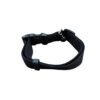 Collar de gato