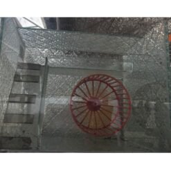 Jaula de vidrio para hamster
