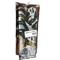 Planta para pecera
