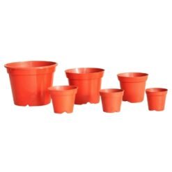 Maceta terracota linea economica