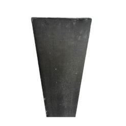 Alternative view of Taka pintada