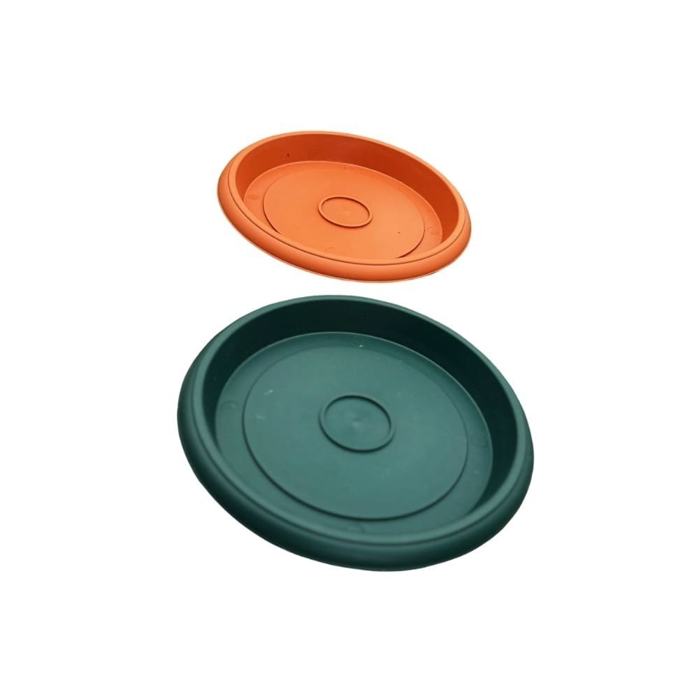 Plato de plastico