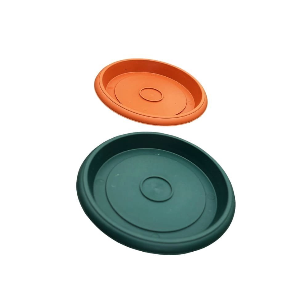 Plato de plastico - Imagen 6