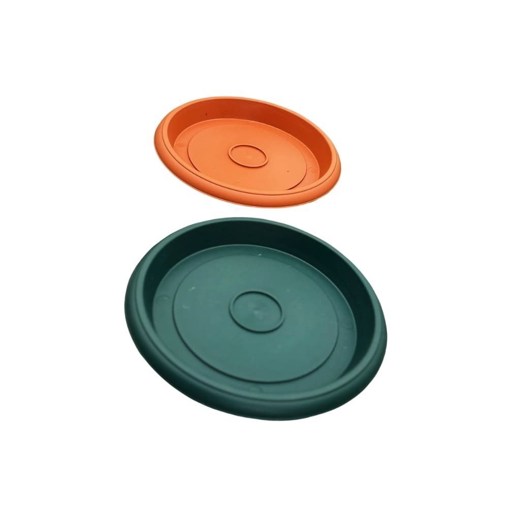 Plato de plastico - Imagen 7